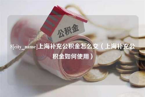 榆林上海补充公积金怎么交（上海补充公积金如何使用）